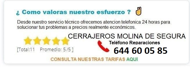 cerrajero Molina de Segura precio